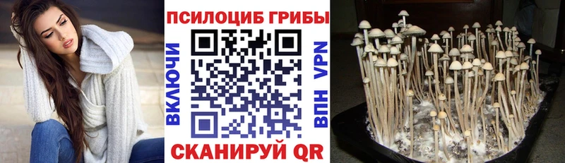 Псилоцибиновые грибы мухоморы  Купить где  Ялуторовск 